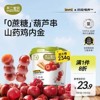 不二宝贝 牛脾肽鸡内金山楂葫芦串234g棒棒糖搭无添加婴儿幼儿童宝宝零食 山楂葫芦串