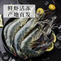 正宗盐田虾  大连海鲜大虾特产  鲜活速冻大虾  急速锁鲜 复州湾盐田虾(40-50） 1500g (净重大虾3斤)