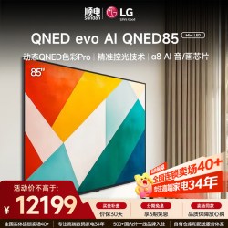 LG 电视QNED系列86英寸电视 Mini LED超薄4K高清电视机86QNED85BCA