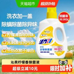 活力28 多效除菌 衣物除菌液  衣物除菌液2kg