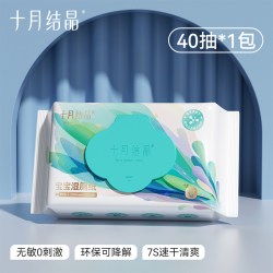 十月结晶 湿厕纸宝宝专用私处擦屁屁厕所湿纸巾40抽