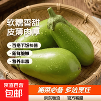新鲜青茄子软糯香甜皮薄肉厚新鲜蔬菜生鲜湘菜必备炒菜 湖南青茄子 4斤 净重3.8斤