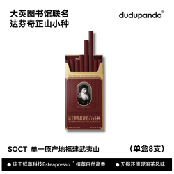 dudupanda 正山小种红茶 4.8g 1盒
