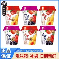 伊利 大果粒酸奶260g*6杯风味发酵乳黄桃草莓桑葚早餐