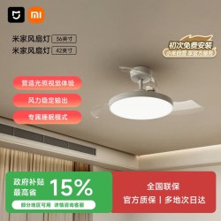 米家 9290041667 风扇灯 95W 白色 42英寸