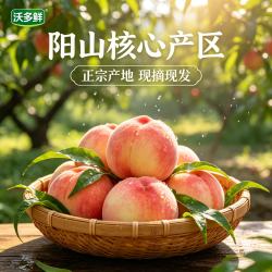 沃多鲜 正宗无锡阳山水蜜桃时令应季水果单果4-5两新鲜脆甜 单果3-4两 9粒礼盒装