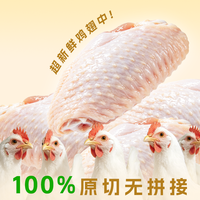 咯咯状元 山东临沂 鸡翅中 1000g(500g*2袋)