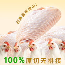 咯咯状元 山东临沂 鸡翅中 1000g（500g*2袋）