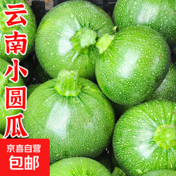 云南高原嫩南瓜小圆瓜绿皮瓜生鲜新鲜蔬菜夏季应季 嫩南瓜 3斤 净重