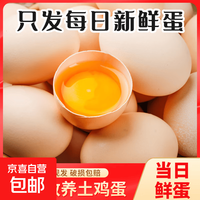鲜鸡蛋五谷喂养农家新鲜鸡蛋40g左右早餐京东包邮生鲜溏心蛋 8枚40-50g