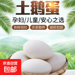 珍府客精选农家新鲜土鹅蛋现捡现发孕妇宝宝滋补早餐生鲜包邮 2枚初生鹅蛋(单枚80~100g)