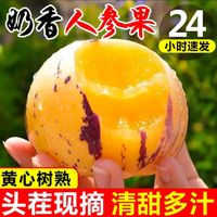 京喜自营-专用品牌 野生小金蛋人参果 云南石林 250g 30g起