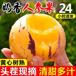 京喜自营-专用品牌 野生小金蛋人参果 云南石林 250g 30g起