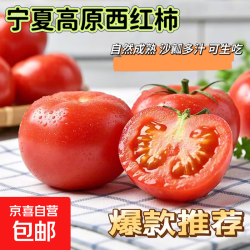 山东 高山大红西红柿 5斤