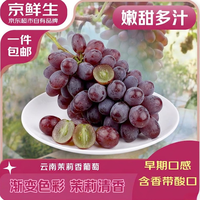 京鲜生 辽宁茉莉香葡萄无籽香葡萄1.8-2.2斤装葡萄提子生鲜水果源头直发