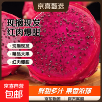 广西红心火龙果金都一号新鲜水果生鲜现摘现发应季 带箱3斤装（单果300-400g）