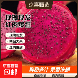 广西红心火龙果金都一号新鲜水果生鲜现摘现发应季 带箱3斤装（单果300-400g）