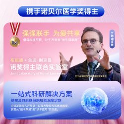 布班迪 倾芯柔Air婴儿纸尿裤免费试用男女宝拉拉裤尿不湿