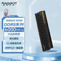 阿斯加特 DDR5 6000 台式机内存条