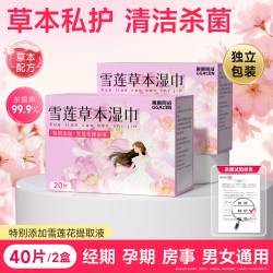 果果阿成 湿巾可擦私处男女通用杀菌私护私密专用免洗清洁湿纸巾家用大包装