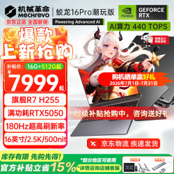 机械革命 蛟龙16Pro RTX5060显卡 灰色 16GB+512GB 笔记本电脑