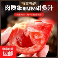 京喜 山东番茄沙瓤即食大西红柿农家新鲜产地直发整箱 2斤 净重1.8斤 单果100g以上(中果)