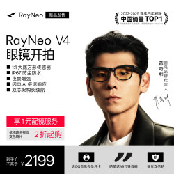 雷鸟 RayNeo 雷鸟创新 V4 XRGF53 AI智能眼镜 极夜黑（4GB、64GB)