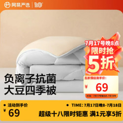 网易严选 云感大豆被 10%大豆纤维A类空调被子2500g 200*230cm四季被云杉灰 云杉灰