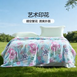 富安娜 十孔空调被 抑菌夏凉被 152x210cm 柔云