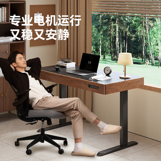 今日必买：乐歌 SE5 电动升降 120cm*60cm 中古风电脑桌