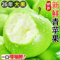 壹萌果蔬 陕西青苹果 单果60MM+ 净重4.5斤