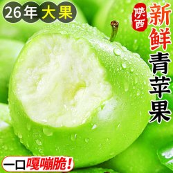 壹萌果蔬 陕西青苹果 单果60MM+ 净重4.5斤
