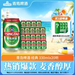 青岛啤酒 1x20x330ml 听装 330ml