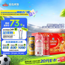 青岛啤酒 组合 啤酒组合装  组合 500mL 12罐 组合装 整箱装