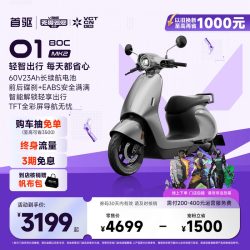 首驱 O1 80C Mk2 电动轻便摩托车 60V 23Ah 98kg