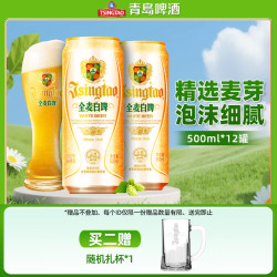青岛啤酒 全麦白啤 500ml*12听