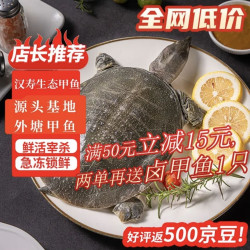 芮宝农场 汉寿甲鱼 净重500g 盒装