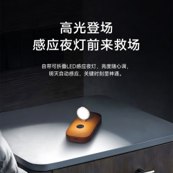 贝尔金 BPD019 45W快充 橙色 10000毫安 移动电源