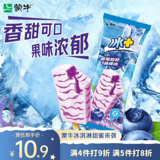 蒙牛 冰+蓝莓酸奶口味棒冰70g*6支（蒙牛冰+雪泥75g*6支组合）