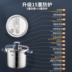 爱仕达 YS22B1WG1 不锈钢压力锅 20.8cm