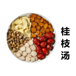 桂枝汤白芍桂枝干姜甘草大枣5包210克