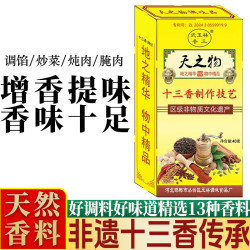 武玉林 非遗十三香5盒天之物40克装到手有赠品孜然粉