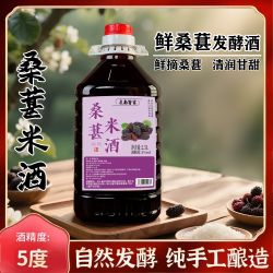 虔南客家桑葚糯米酒1桶5斤装精酿传统酿造香甜酒酿江西客家