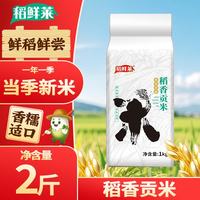稻鲜莱 稻香贡米 东北大米 真空包装 1kg