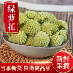 御药济仁 绿萝花 清香甄选 天然飘香滋养品质