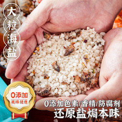 大粒海盐盐焗调味一料多用海鲜盐焗鸡盐焗调味料大颗粒盐焗料香料