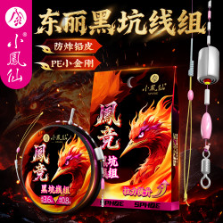 小凤仙 凤竞黑坑线组 竞技主线成品线组 进口东丽原丝 强拉力钓鱼线