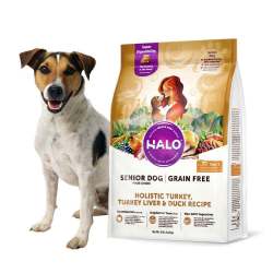 HALO 纯鲜肉老年犬火鸡肉味无谷高龄狗粮10磅/4.5kg