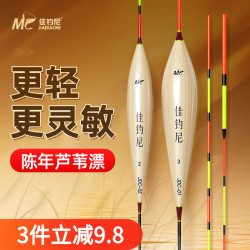 佳钓尼 芦苇漂高灵敏浅水鲫鱼漂浮漂加粗超醒目浮漂鱼漂钓鱼用具