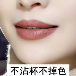 AECE哑光口红防水不沾杯显白肉桂奶茶色雾面伪素颜正品细管口红
